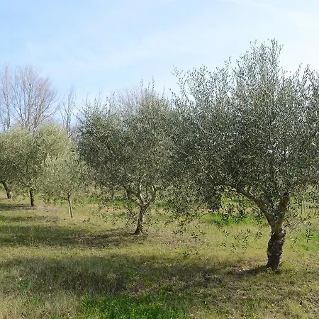 Agriturismo Relais La Scala Di Seta Potenza Picena