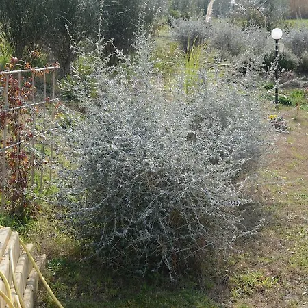 Agriturismo Relais La Scala Di Seta Farma Potenza Picena