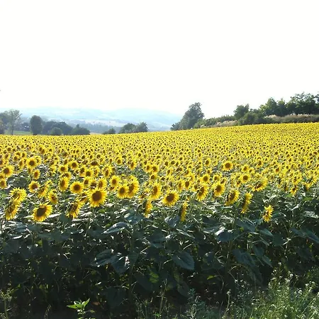 Farma Agriturismo Relais La Scala Di Seta Potenza Picena