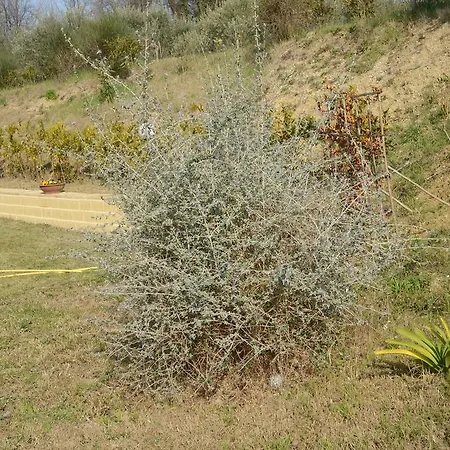 Agriturismo Relais La Scala Di Seta Farma Potenza Picena